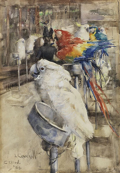 The Aviary, Clifton, 1888 (w / c on paper)