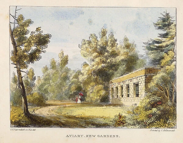 Aviary, Kew Gardens, plate 10 from Kew Gardens: A Series of Twenty-Four Drawings