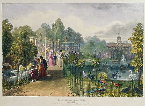 The Aviary at the Zoological Gardens, Regents Park, engraved and pub