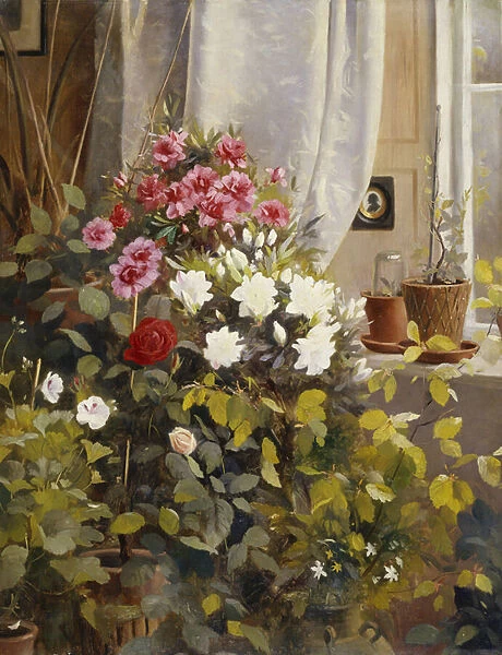 Azaleas, Geraniums, Roses and other Potted Plants by a Window, 1888 (oil on canvas)