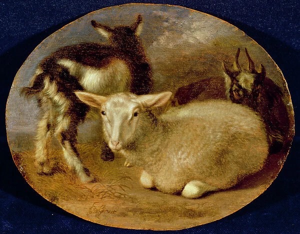 A Baby Lamb with a Kid and a Goat (oil on panel)
