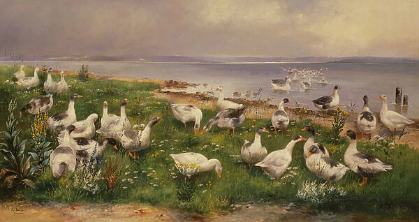 Geese. BAL34303 Geese by Schonian, Alfred (1856-1936); Josef Mensing Gallery