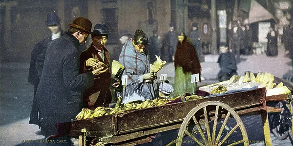 A banana cart in New York 1902