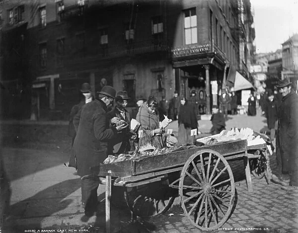 A banana cart, New York, c. 1900 (b  /  w photo)