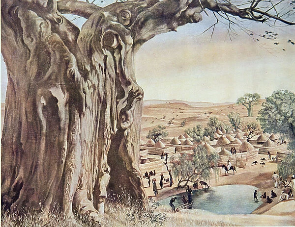Un Baobab (Soudan), from Dessins et Peintures d Afrique