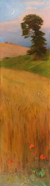 Barley, 1882 (oil on canvas)