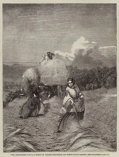The Barleyfield (engraving)