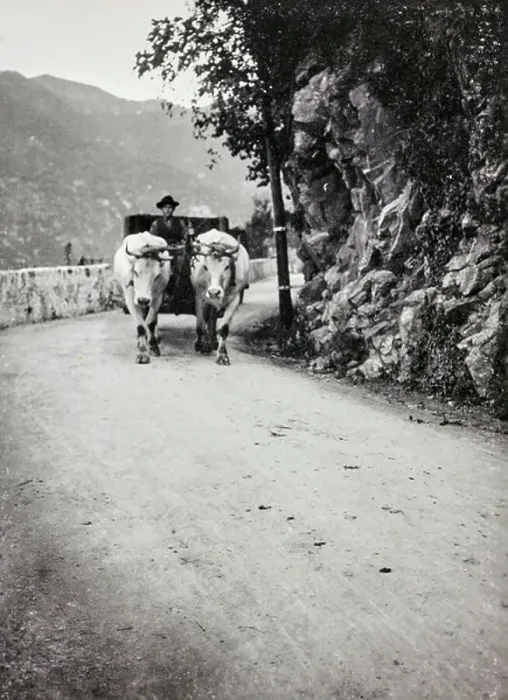 Framed Print : Barrow around Como