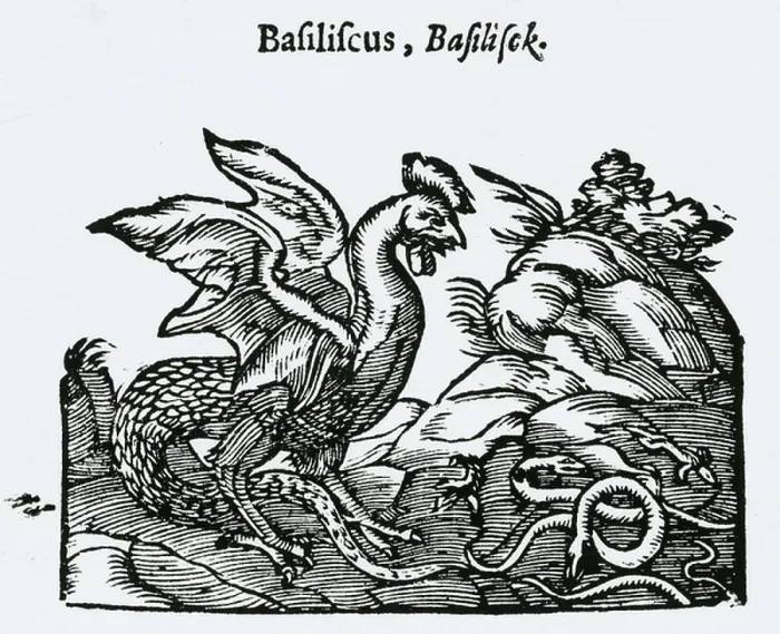 Framed Print : Basilisk. UIG672910 Basilisk; (add.info.: n European bestiaries