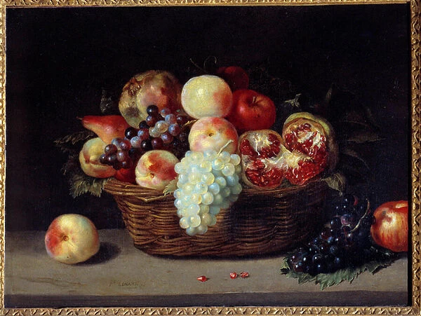 Basket of grenades, peaches and grapes Painting by Jacques Linard (1600-1645