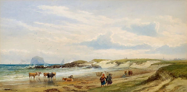 The Bass Rock, 1869 (w  /  c)