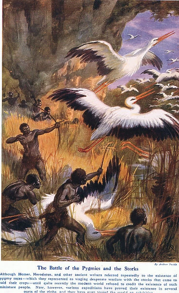 Battle of the Pygmies and the Storks, illustration from Wonders of Land and Sea