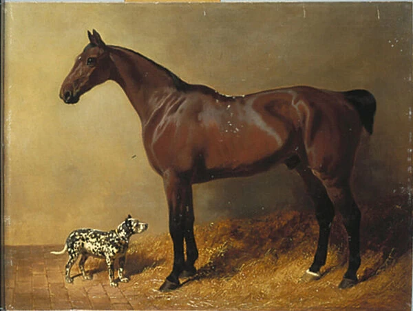 A Bay Hunter and a Spotted Dog in a Stable Interior, 1846 (oil on canvas)