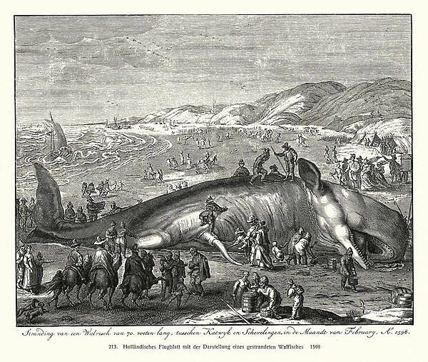 Beached whale (woodcut)