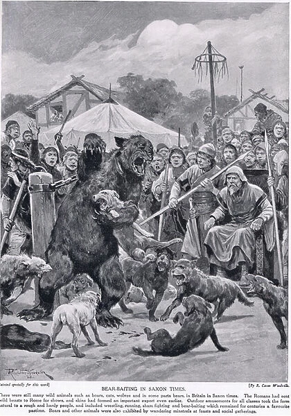 Bear baiting in Saxon times, from Hutchisons Story of the British Nation, c. 1920 (litho)