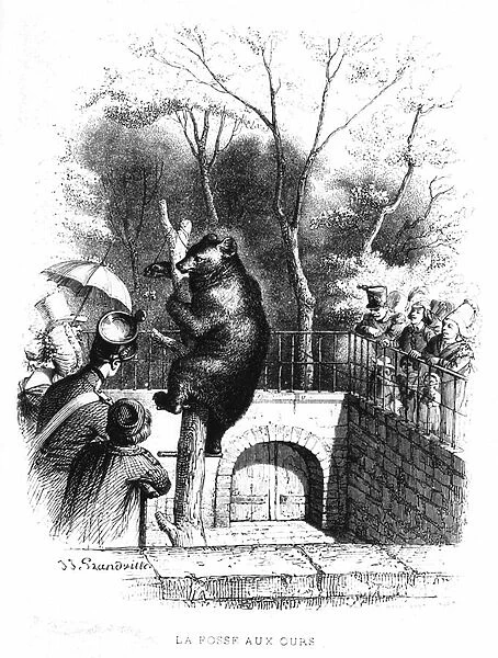 The bear pit of the garden of plants in Paris - engraving, 19th century