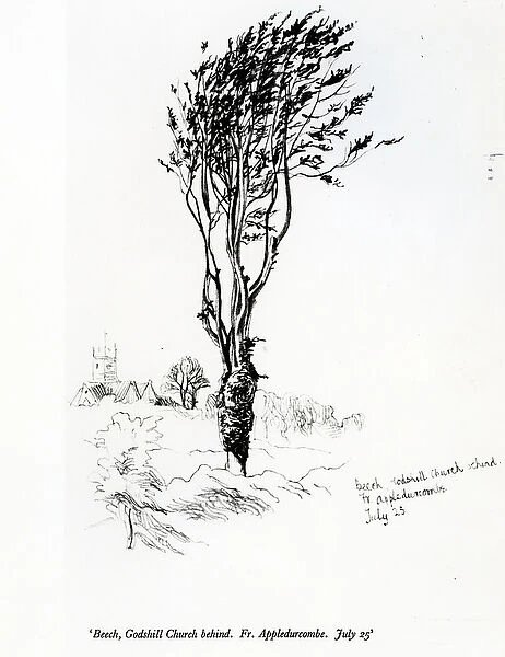 Beech, Godshill Church behind. Fr. Appledurcombe. July 25, c. 1860s (pencil on paper)