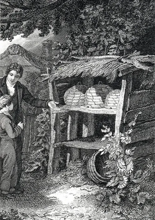 Framed Print : A beekeeper