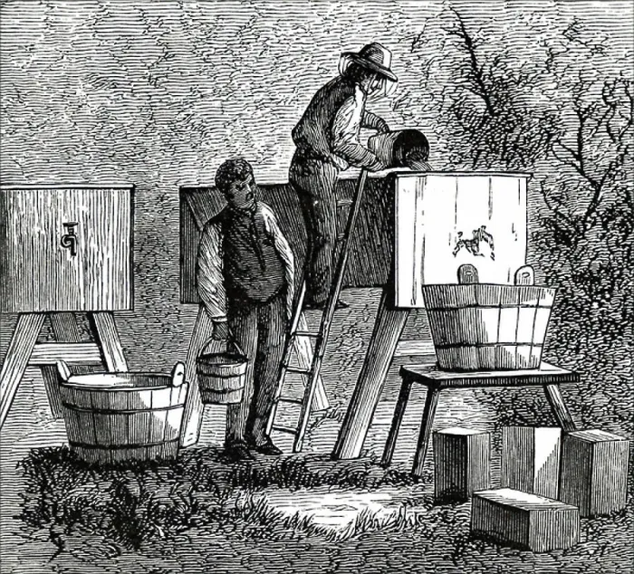 Framed Print : A beekeeper