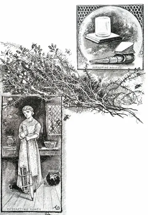 Framed Print : A beekeeper