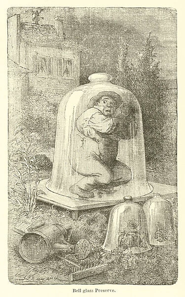 Bell glass Preserve (engraving)