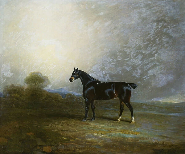 Bembo, a Favourite Hunter of Charles Shuttleworth, Esq. 1802 (oil on canvas)