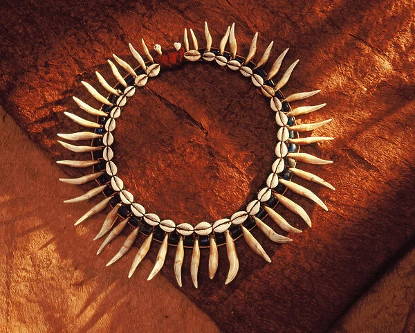 Bidayuh Bukar-Sadong mans collar necklace from Sarawak, Malaysia (teeth and shells)