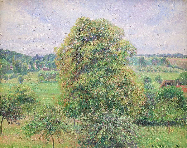 Big walnut tree at Eragny, 1893 (oil on canvas)