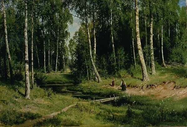 In The Birch Tree Forest, 1883 (oil on canvas)