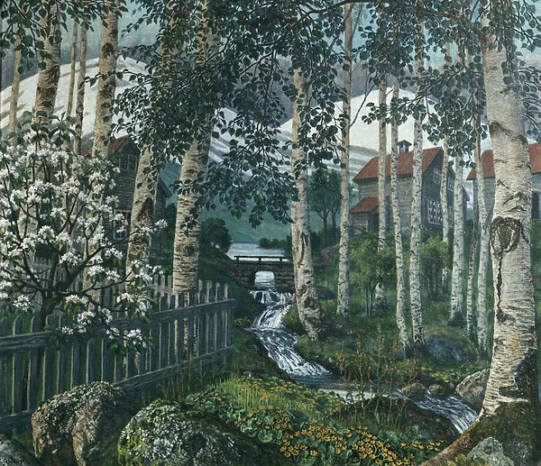 Birch Trees (oil on canvas)