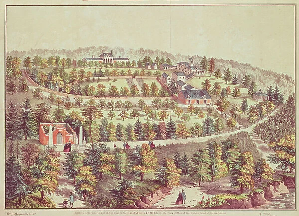 Bird s-eye View of Mount Vernon, 1859 (colour litho)