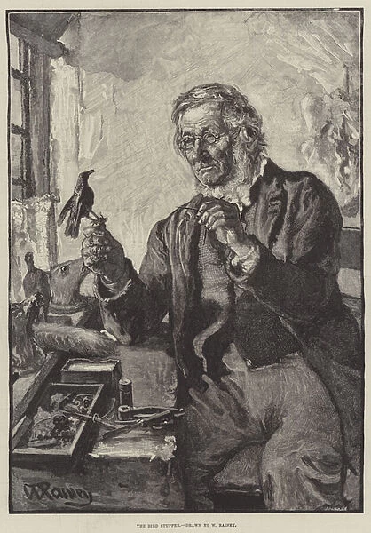 The Bird Stuffer (engraving)