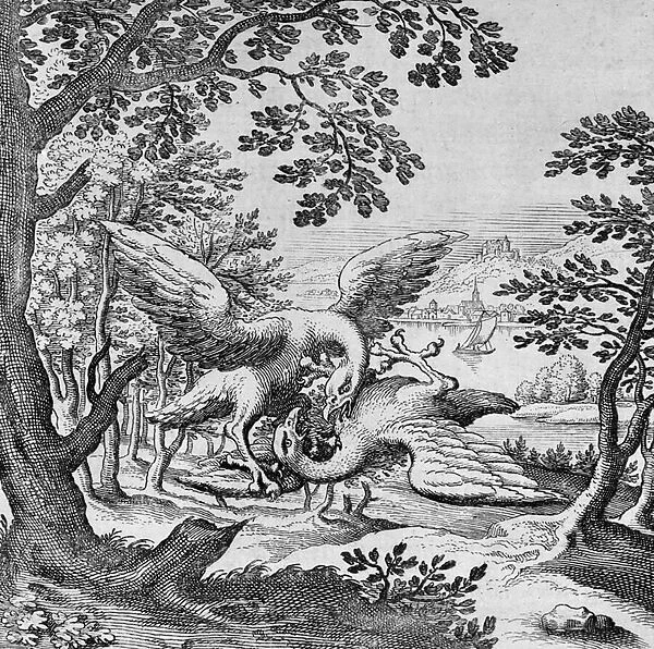 Birds fighting from Musaeum Hermeticum, 1678 (engraving)