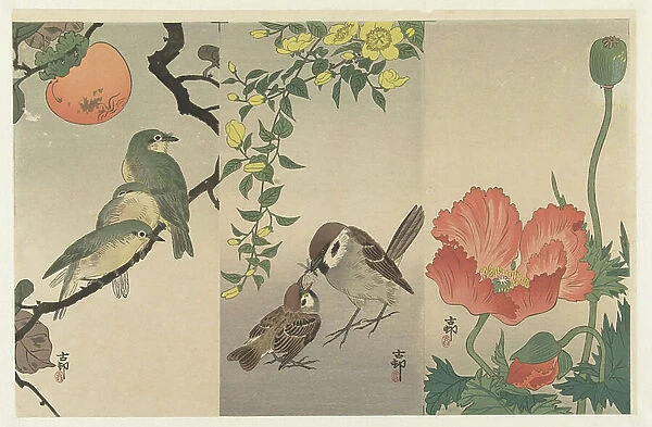 Birds and Plants, 1900-16 (colour woodcut)