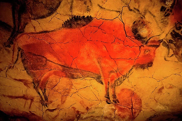 Bison Painting in Altamira caves, Upper Paleolithic museum, Santander, Cantabria, Spain (photo)