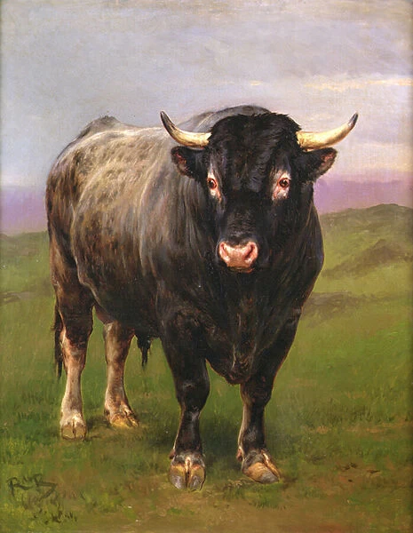 The Black Bull (oil on canvas)