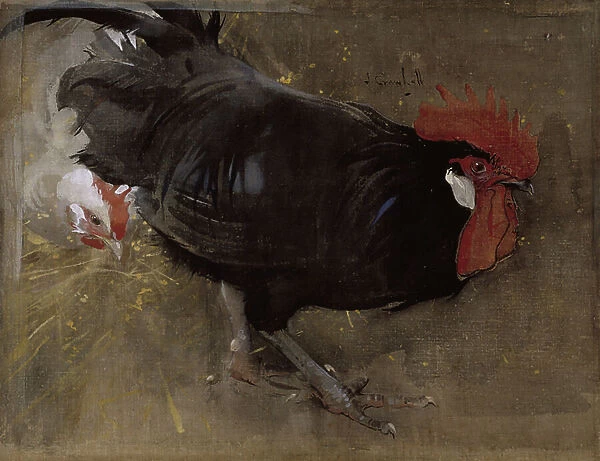 The Black Cock (gouache on linen)