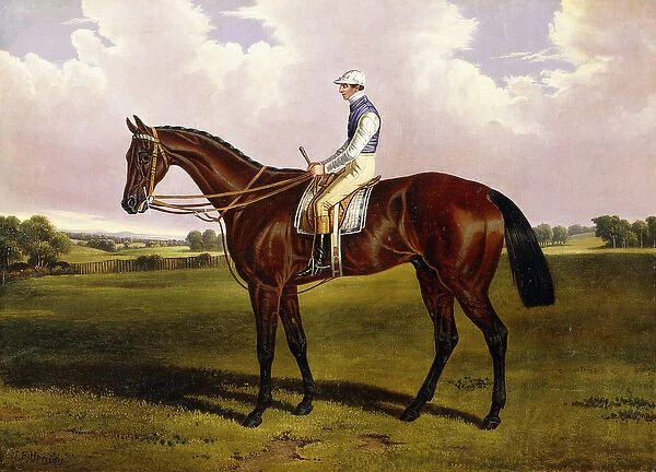 Bloomsbury, A Chestnut Racehorse with Sam Templeman up, in a Landscape, (oil on canvas)