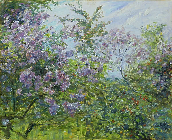 Blossoming Lilac, c.1921 (oil on wood)