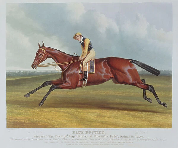 Blue Bonnet, Winner of the Great St. Leger Stakes at Doncaster, 1842