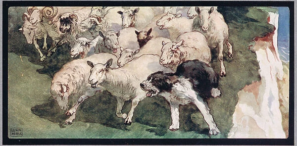 Bobtail sheepdog and flock on cliffs, illustration from Helpers Without Hands by Gladys Davidson, published in 1919 (colour litho)