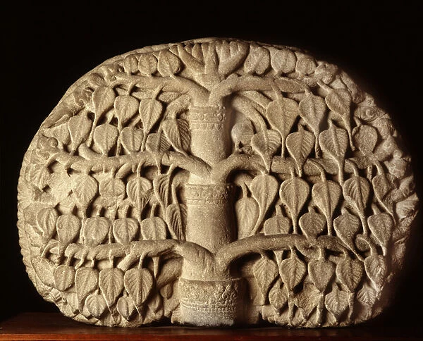 Bodhi Tree (stone)