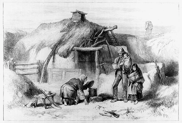 Bog-Trotters Cabin, from The Illustrated London News 1879 (etching) (b  /  w photo)