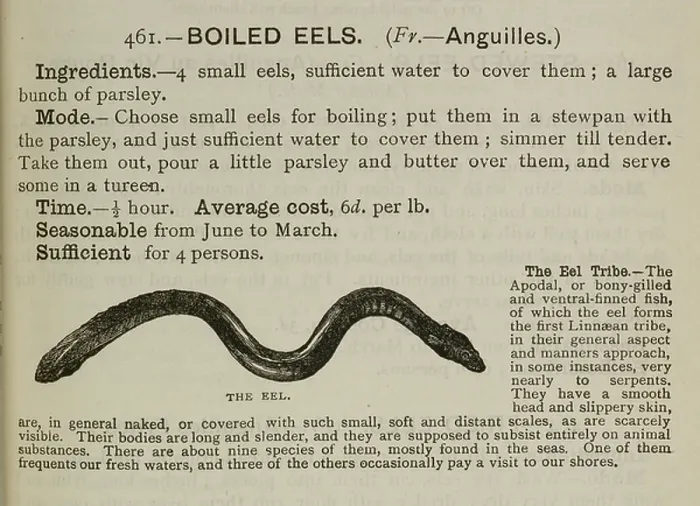 Framed Print : Boiled eels