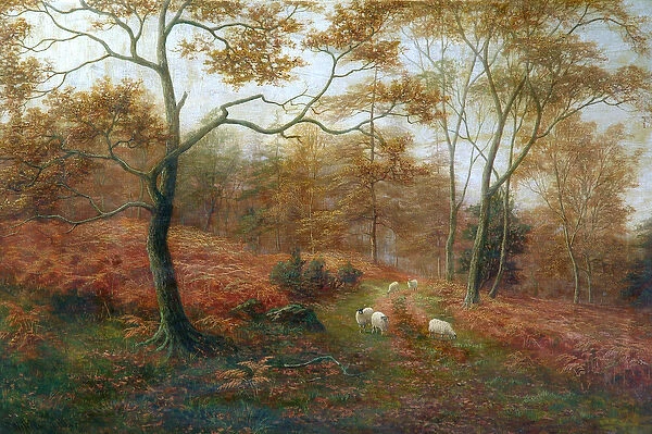Bolton Woods, Yorkshire (oil on canvas)