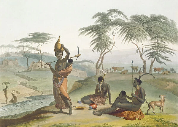 Boosh Wannahs, plate 8 from African Scenery and Animals, engraved by the artist