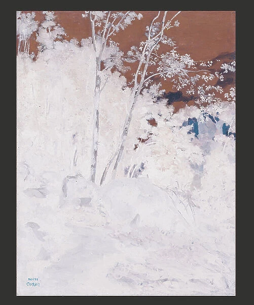Bosquet d'arbres parmi les rochers a Civita Castellana (oil on paper laid down on canvas)