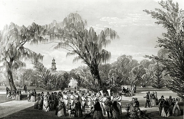 Botanical Gardens, Cape Town, print made by W. Simpson, c. 1850s (litho)