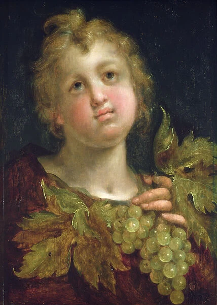 Boy with a bunch of grapes, 1600-5