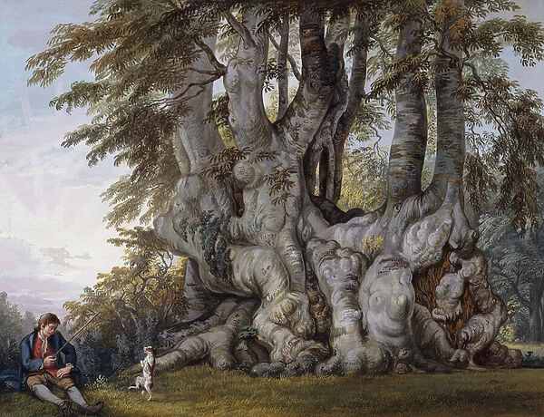 A Boy making a Dog dance by the Bole of an Ancient Gnarled Beech Tree, (bodycolour)